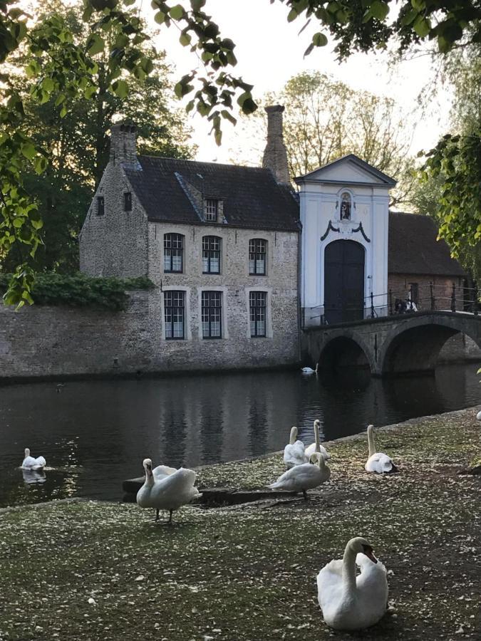 The Bank 1869 - Unique Guestrooms In The Historic Center Of Holiday home Bruges